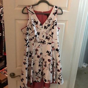 Beautiful Fit & Flare, High-Low Dress